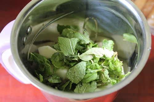 Cucumber Mint Cooler Recipe - 76