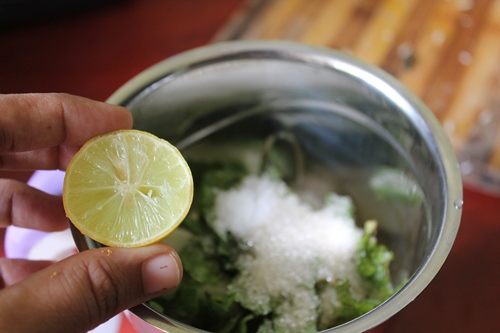 Cucumber Mint Cooler Recipe - 15