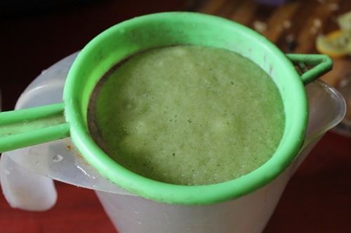 Cucumber Mint Cooler Recipe - 64