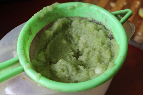 Cucumber Mint Cooler Recipe - 43