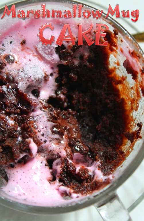 Fudgy Marshmallow Mug Cake Recipe / Chocolate Chunk Mug Cake Recipe