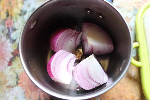 onions in blender