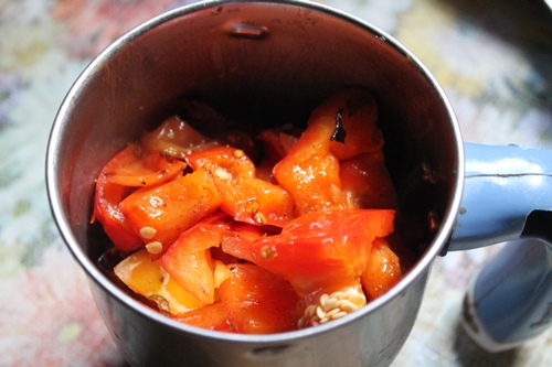 red capsicum in blender