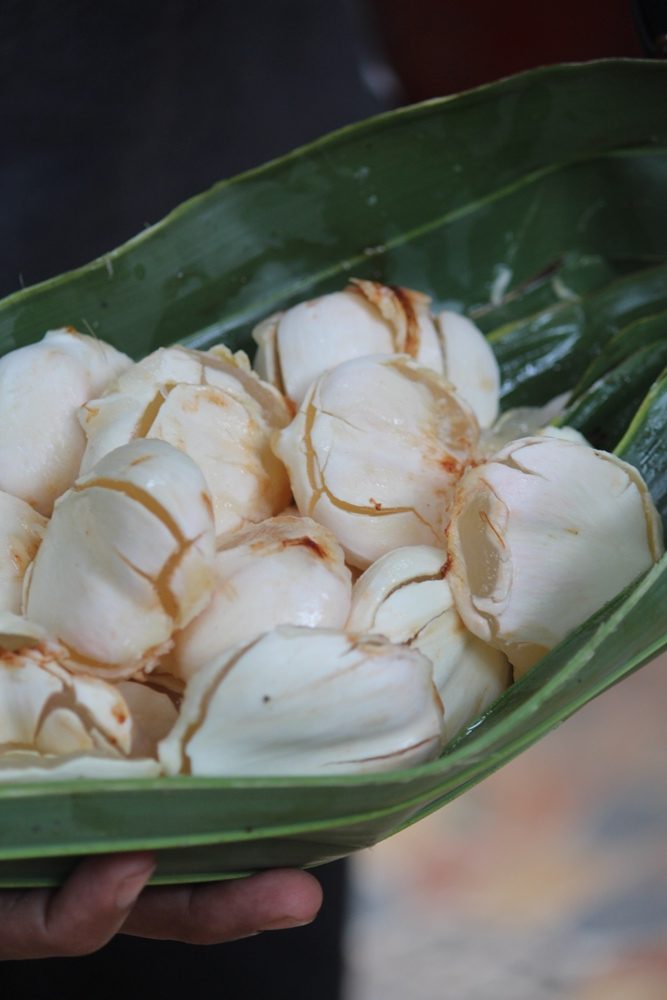 ice apple, palm fruit, nungu pictures