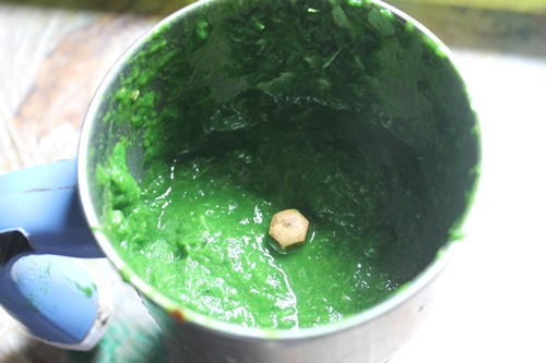 Palak Paratha Recipe   Spinach Chapati Recipe - 11