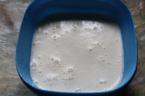Eggless Tender Coconut Ice Cream Recipe - 26