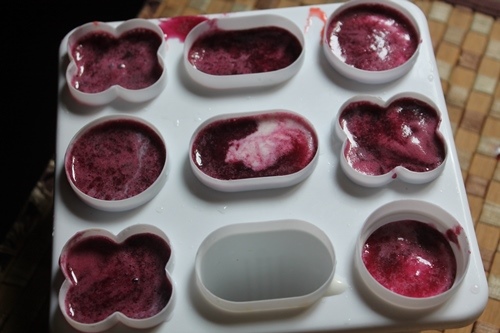 Layered Fresh Fruit Popsicles Recipe - 62