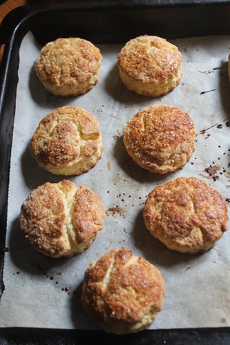 scones looking golden