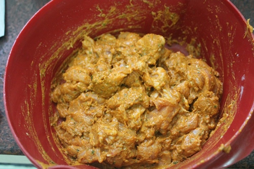 chicken mixed with spices