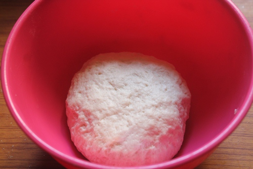 knead to a soft dough
