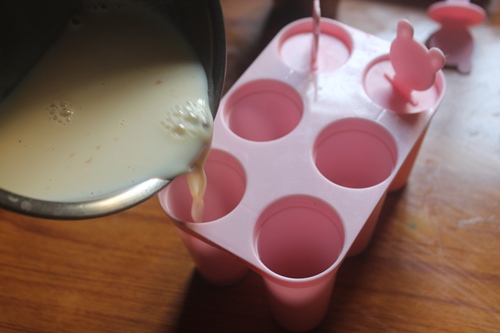 Vanilla   Chocolate Popsicles Recipe   Easy Popsicle Recipes - 59