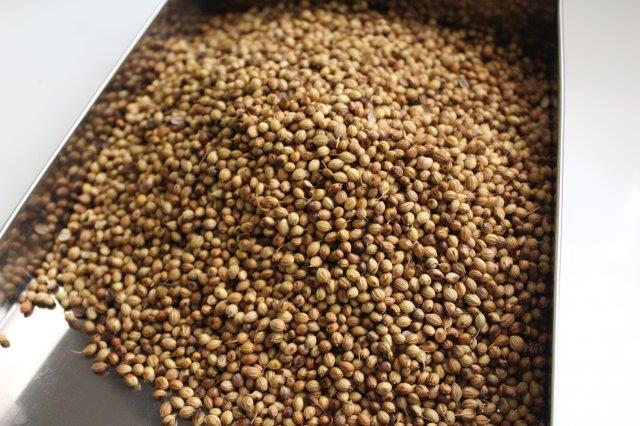 Coriander seeds