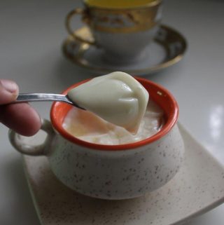 Cantonese Ginger Milk Pudding Recipe   Ginger Milk Curd Recipe - 66