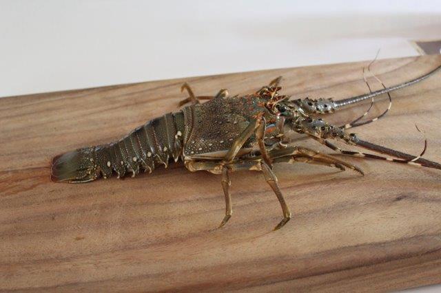 Chilli Lobster Recipe