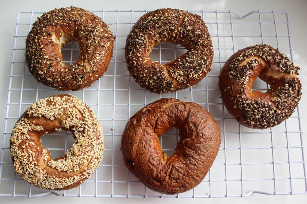 homemade bagel