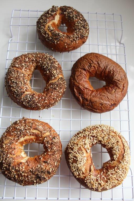 homemade bagel