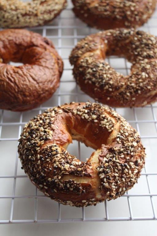 homemade bagel