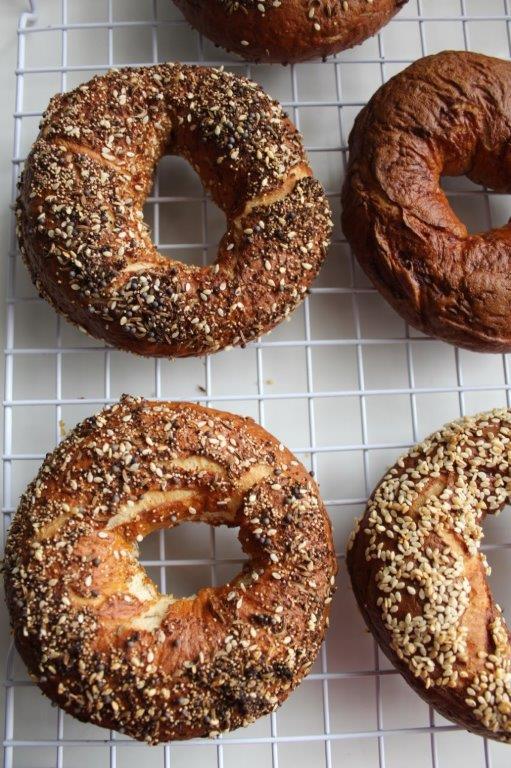 homemade bagel