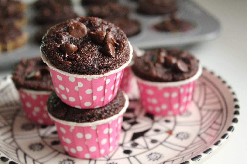 Chocolate Chip Muffins - coconut flour