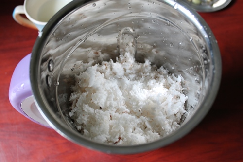 grated fresh coconut in blender