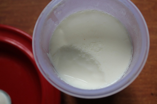 curd scooped in a spoon