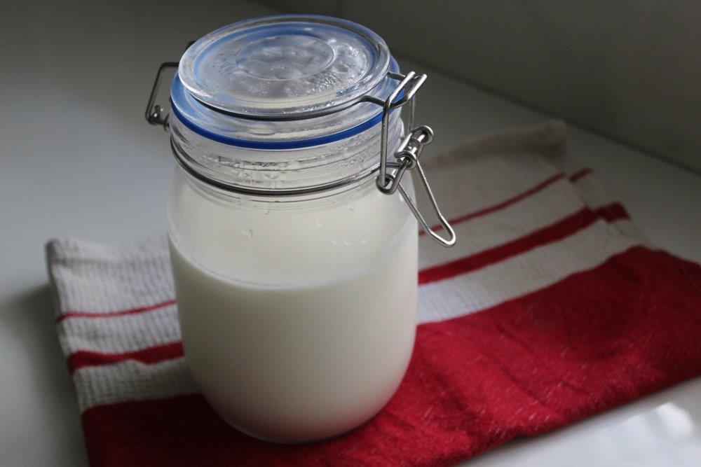 curd made with milk powder