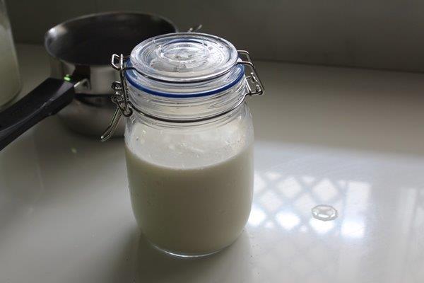 let the milk powder yogurt ferment