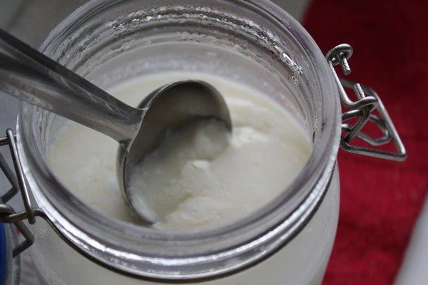 perfectly set milk powder yogurt