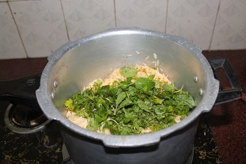 add coriander and mint leaves