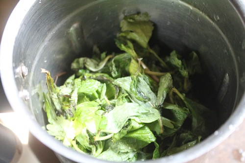 take mint leaves in a blender