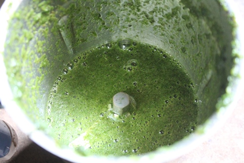 puree mint leaves