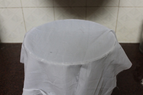 cover and allow to sprout