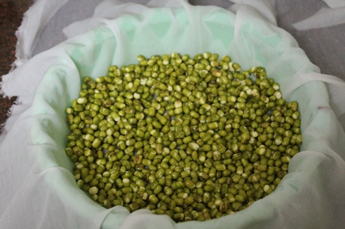 sprinkle green gram