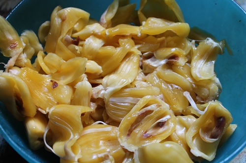 jack fruit