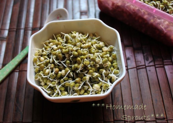 how to grow sprouts