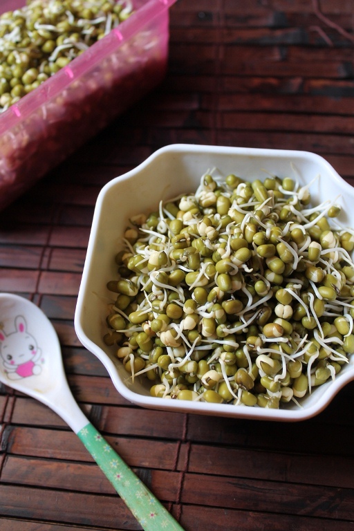 sprouts