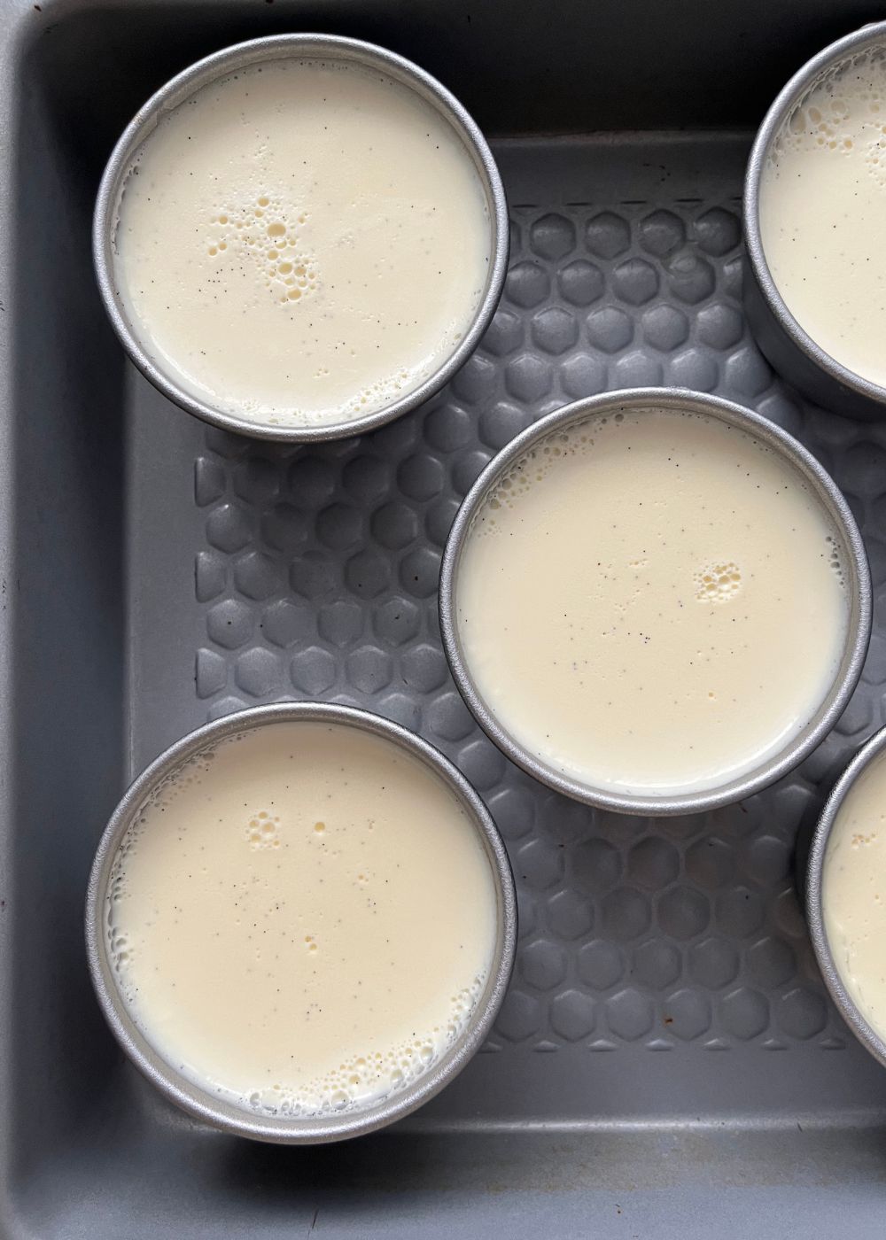 panna cotta set in individual moulds