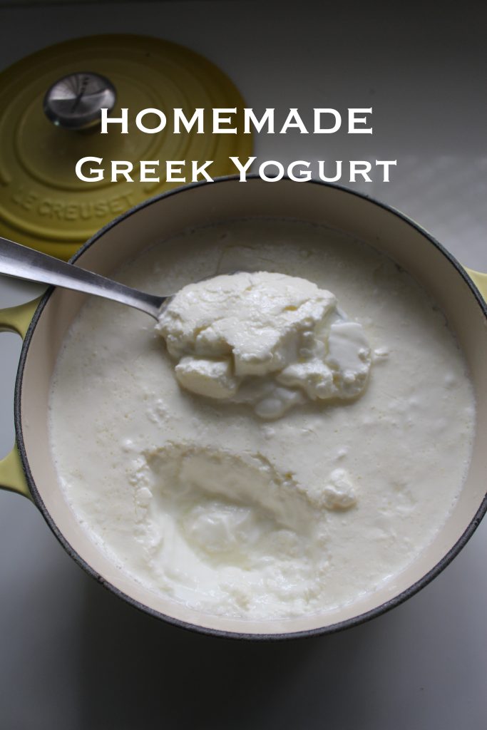 Homemade Greek Yogurt Recipe How to Make Greek Yogurt