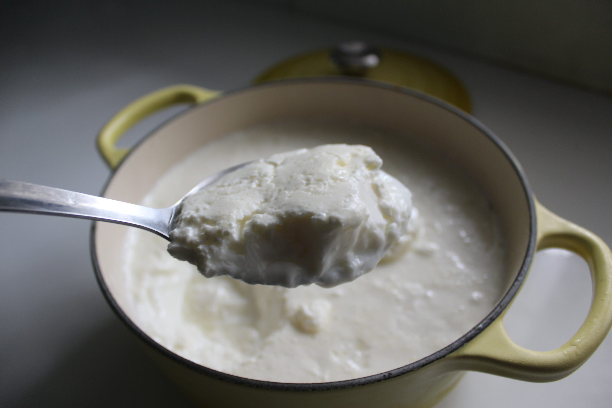 Homemade Greek Yogurt Recipe | How to Make Greek Yogurt