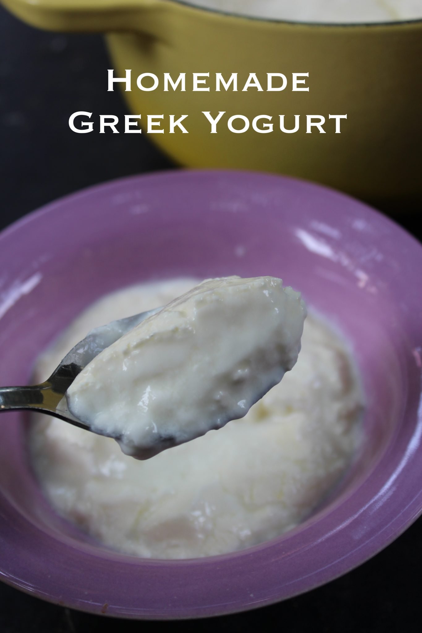 Homemade Greek Yogurt Recipe How to Make Greek Yogurt