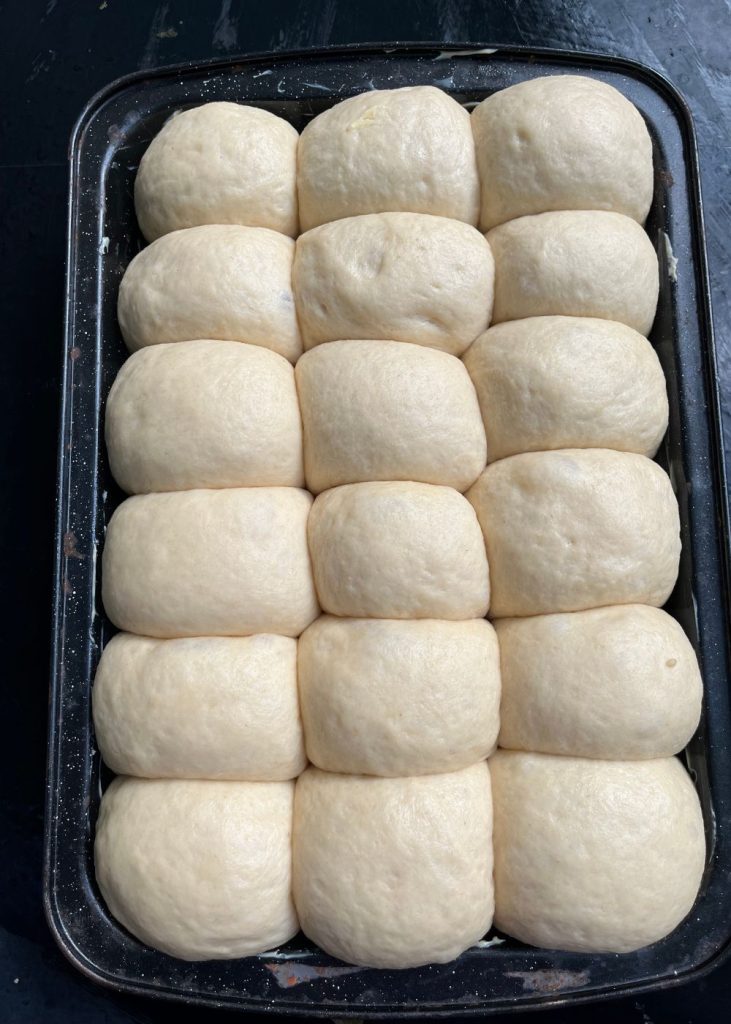dinner rolls shaped and proofed