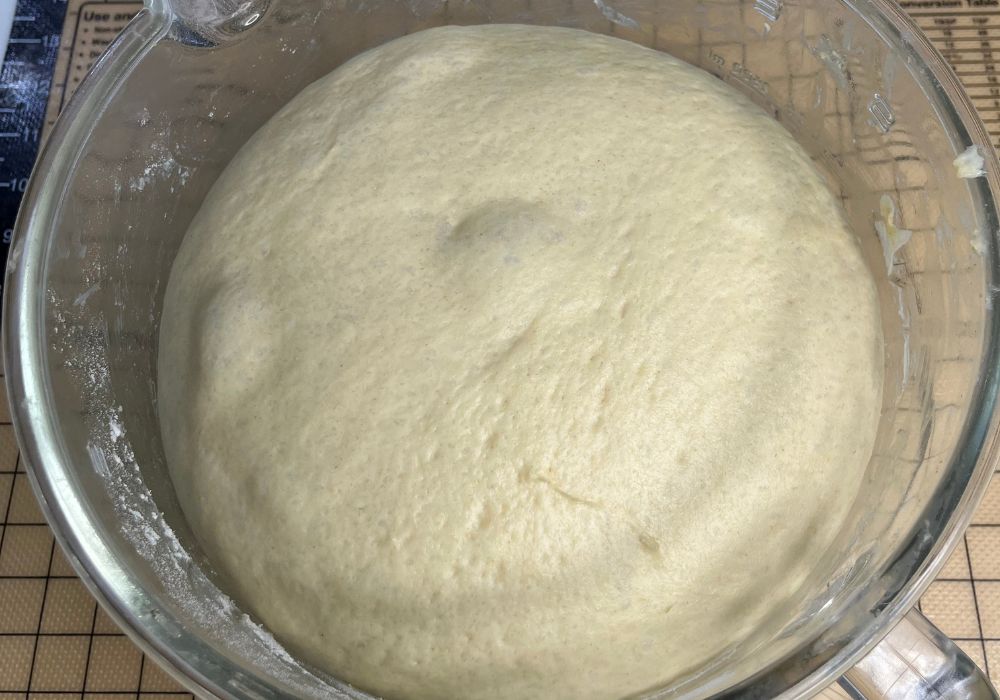 dinner rolls dough proofed