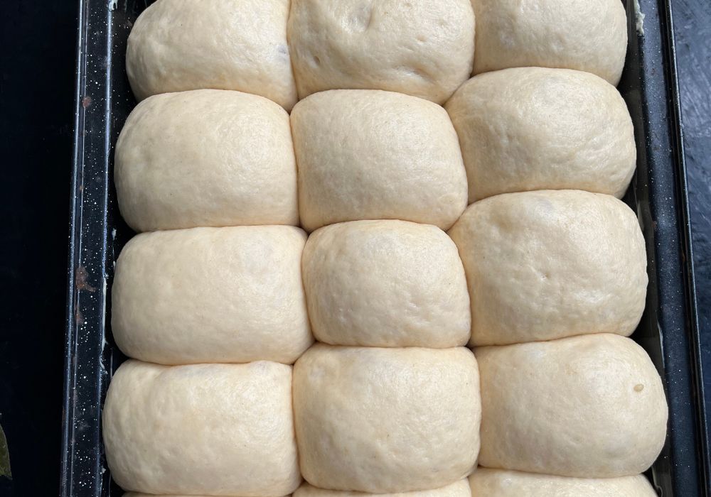 dinner rolls proofed