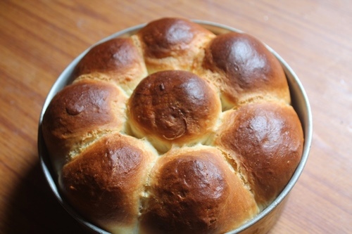 dinner rolls baked