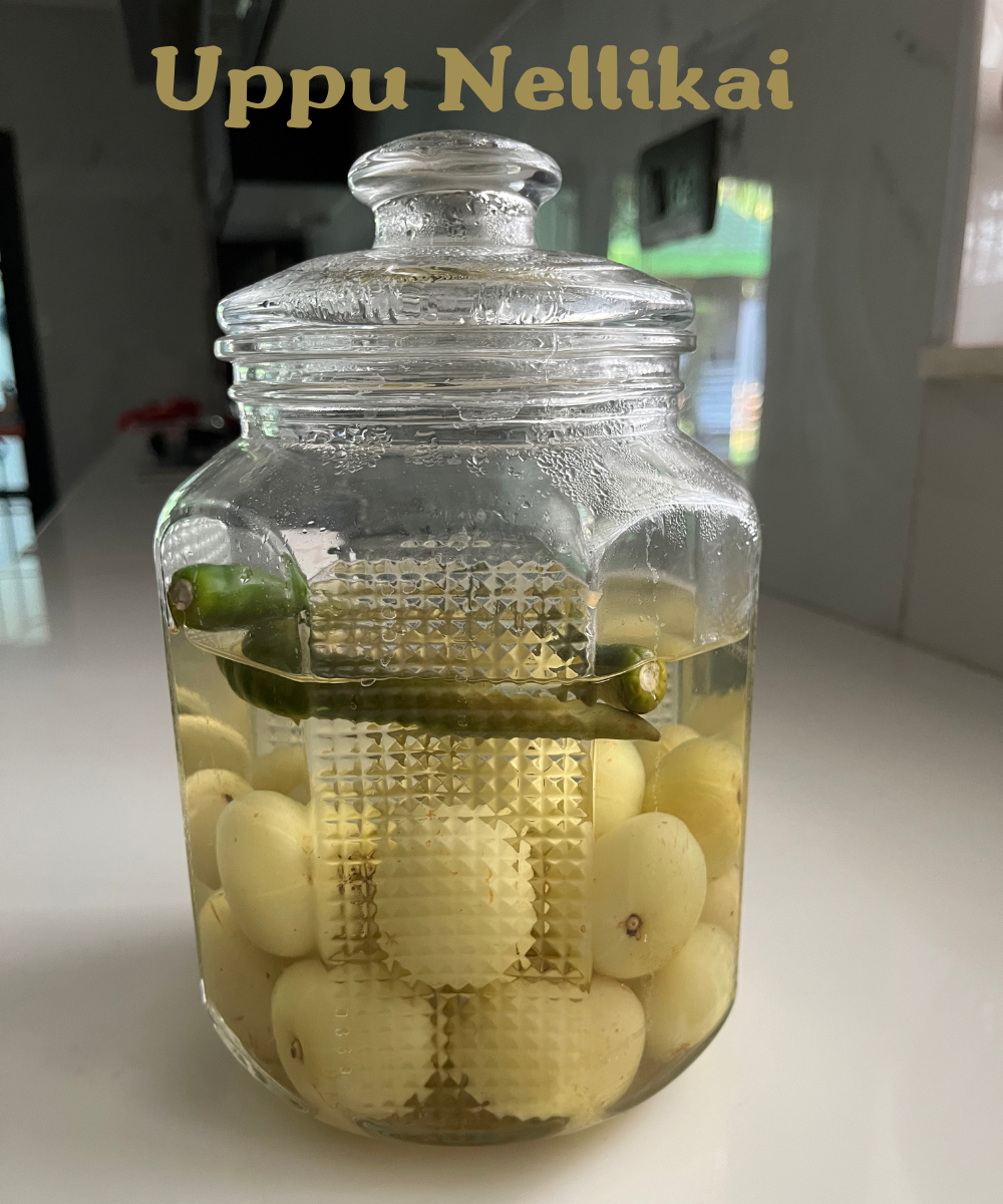 Uppu Nellikai Recipe | Gooseberries in Brine – NewsEverything Food