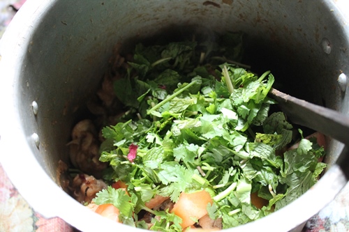 add coriander leaves and mint leaves