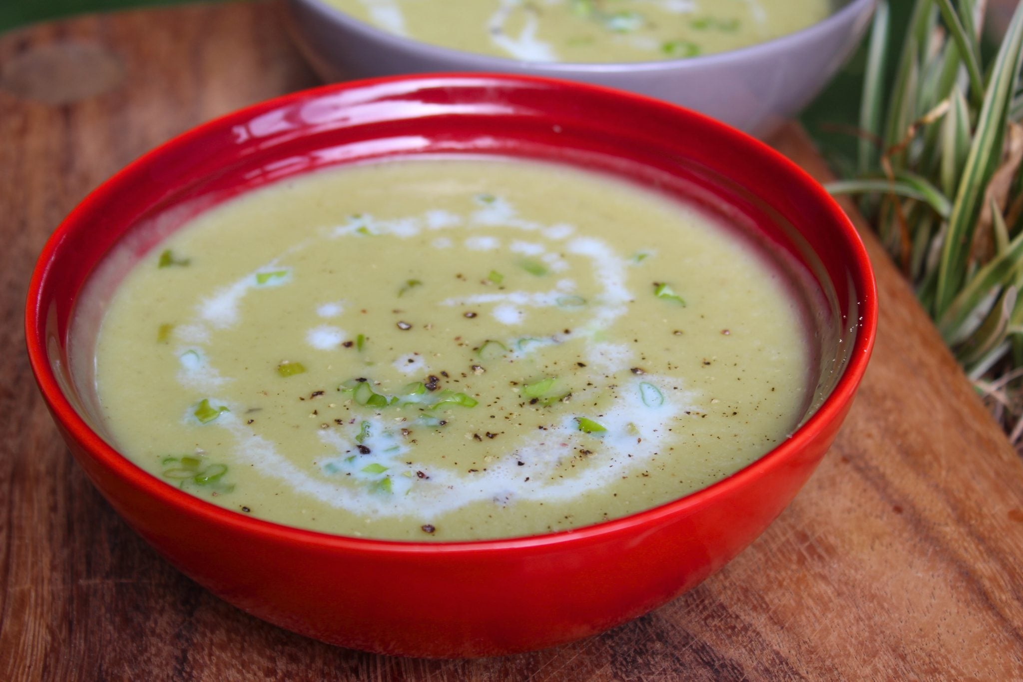 Potato Leek Soup Recipe (French Potage Parmentier Recipe) Potato Leek Soup Recipe (French Potage Parmentier Recipe)