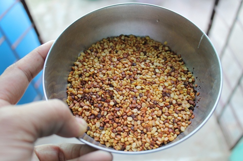 moong dal roasted