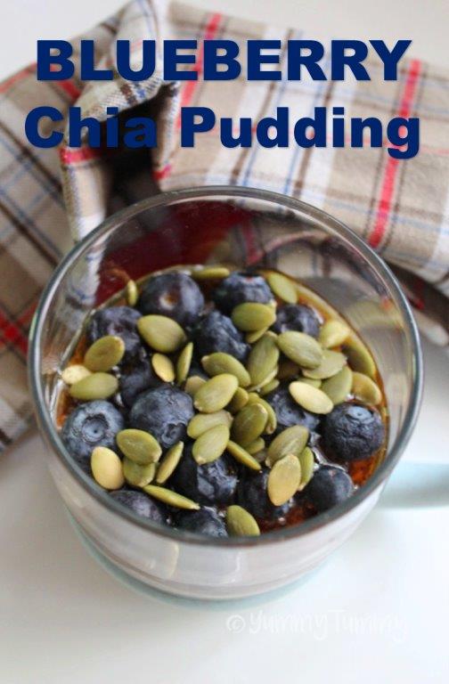 Blueberry Chia Pudding 
