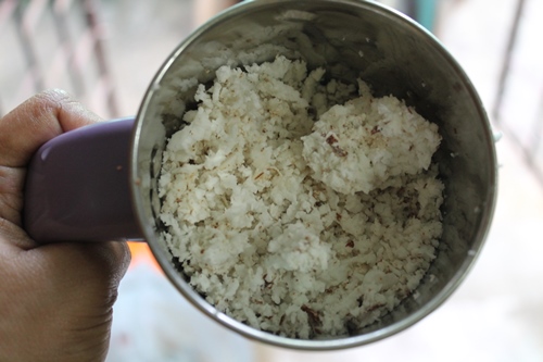 fresh coconut in a blender